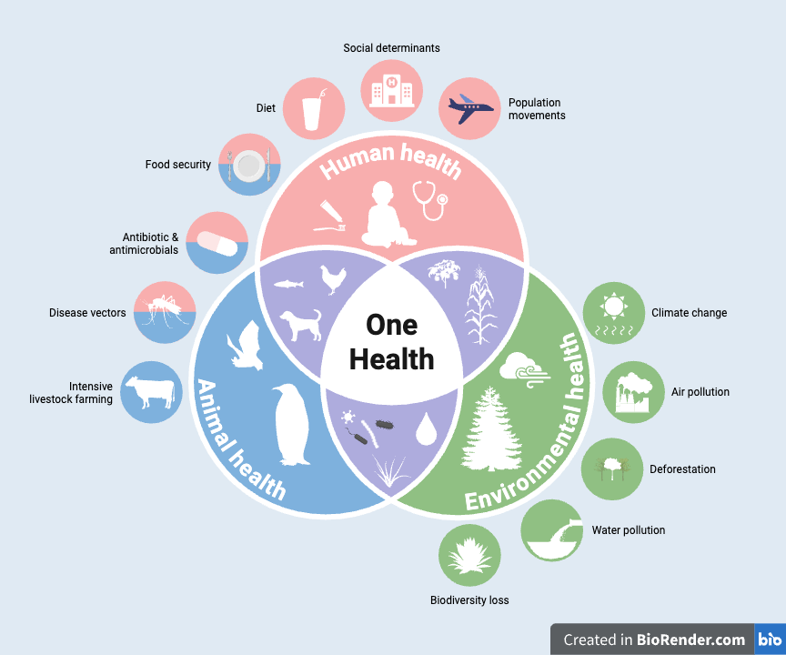 One Health: Interdependence Between Human, Animal & Environmental Health